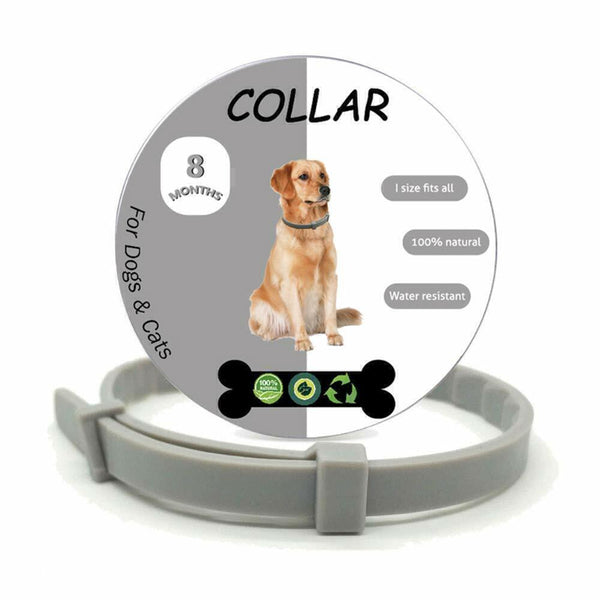 Collares Antipulgas De Perros Y Gatos