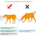 Bebedero Comida Elevado Para Perro Gatos